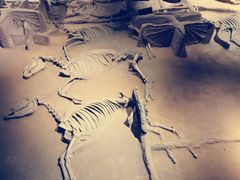 -洛阳周王城天子驾六博物馆