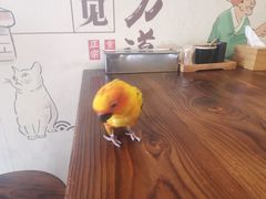 -胖涛小面卡塔店