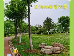 -天鹅湖体育公园