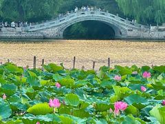 -济南大明湖景区