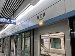 -野芷湖(地铁站)