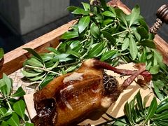 -蝶舍·MAISON PAPILLON