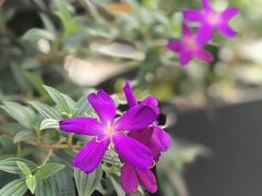 -坂田手造文化街
