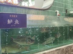 -鱼你相聚·河鲜馆(袁家岭店)