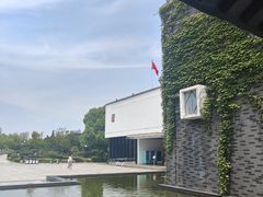 -八大山人梅湖景区