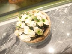 -雅克雅思(纱帽河店)