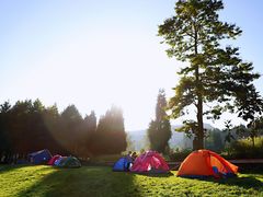 -武陵山森林公园
