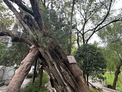 -南阳卧龙岗武侯祠