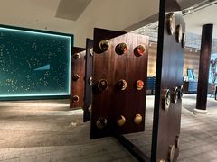 -大视光学•LINDBERG林德伯格•全球手工眼镜集合店(王府井店)
