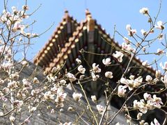 -故宫博物院(故宫)