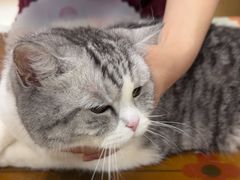 -美联众合动物医院·24h京西诊疗中心
