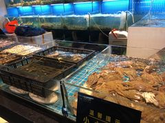 -九月海·海鲜自助(世纪东方店)
