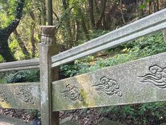 -普陀山风景区-佛顶山