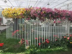 -上海鲜花港