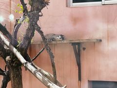 -青藏高原野生动物园