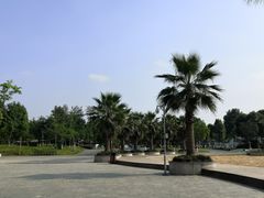 -眉山湿地公园(东坡区)