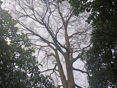 -南山植物园