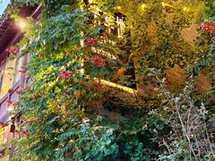 -芳草地西式融合餐厅(回龙窝店)