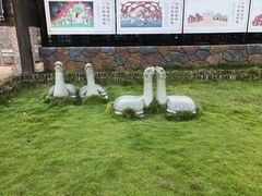 -千年银杏谷文化旅游区
