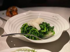 竹笙扒时蔬-皇朝会.经典传统粤菜(外滩店)