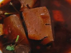 烧肥肠-天一沾水肥肠(科园一街店)