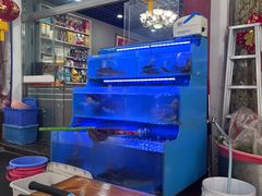 -韩妹鱼庄·泸定老字号(泸定店)