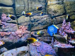 -成都浩海立方海洋公园