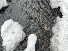 -峡谷浮石林景区