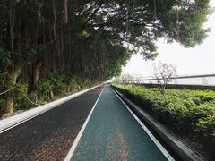 -大湾区中央湿地公园