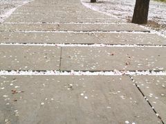 -长春市南湖公园