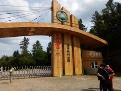 -五营红松林海景区