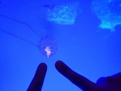 -波塞冬海底世界