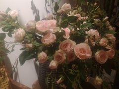 -左悦·艾灸调理·推拿按摩·精油SPA(卓悦汇店)