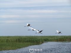 -黑龙江扎龙生态旅游区