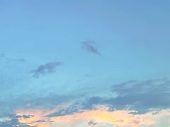 -空港花田景区