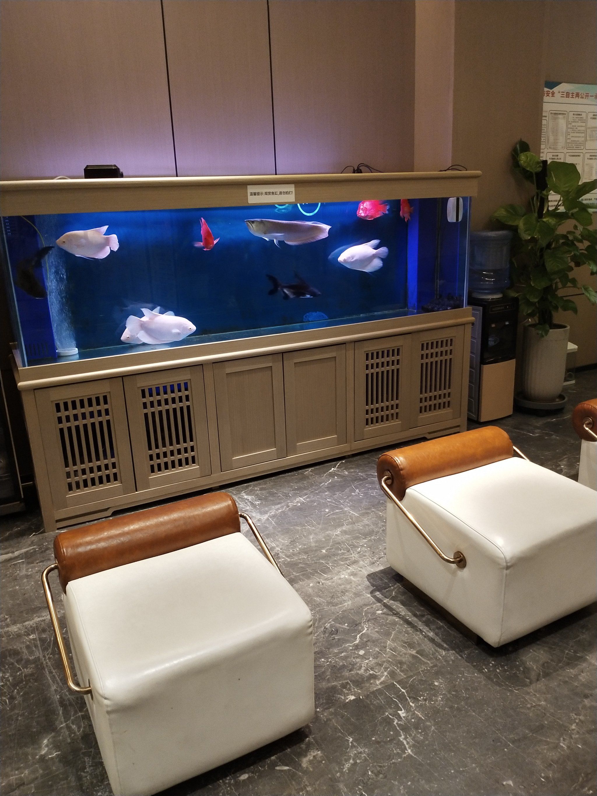 n位于总部基地附近的尚水汇汤泉环境雅致,服务也特别好!