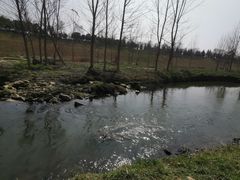 -洨河生态公园