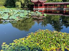 -橘子洲景区