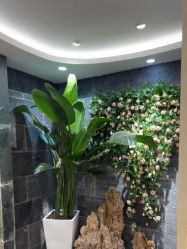 -艺米阳光Hair Salon