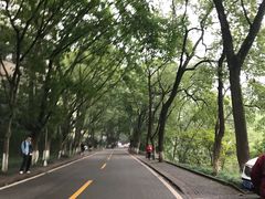 -西南大学（北碚校区）恒温游泳馆