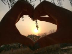 -味千拉面(双井店)