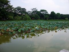 -松山湖南湖湾露营营地