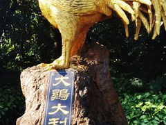 -海口火山口国家地质公园
