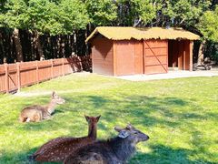 -上海交通大学(闵行校区)