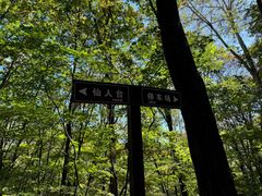-五女峰国家森林公园