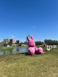 -268童话露营农场·烧烤·团建