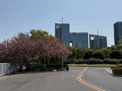 -南京奥林匹克体育中心