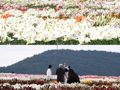 -深业半汤御泉庄温泉