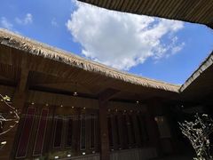 -海南槟榔谷黎苗文化旅游区