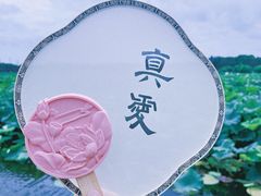 -荷塘月色湿地公园·向阳花洲
